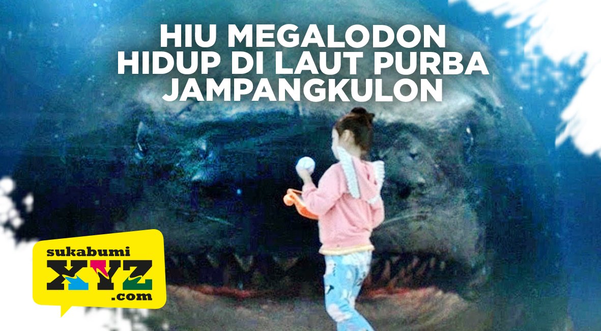 Hiu Megalodon hidup di laut purba Jampang Kulon, 5 fakta ini gen Sukabumi XYZ tahu?